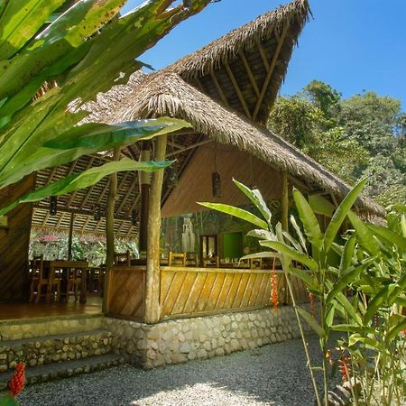 Esquinas Rainforest Lodge Голфіто Екстер'єр фото