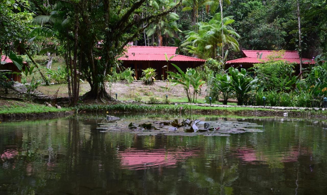 Esquinas Rainforest Lodge Голфіто Екстер'єр фото