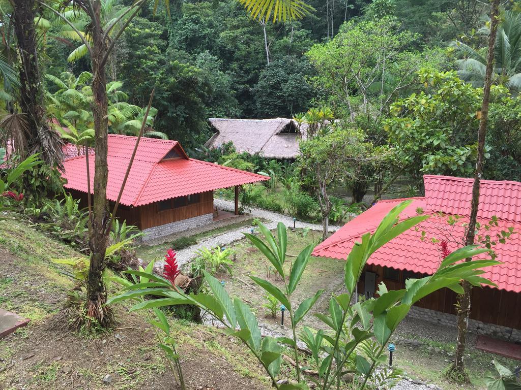 Esquinas Rainforest Lodge Голфіто Екстер'єр фото