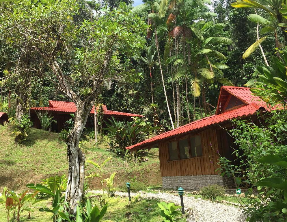 Esquinas Rainforest Lodge Голфіто Екстер'єр фото