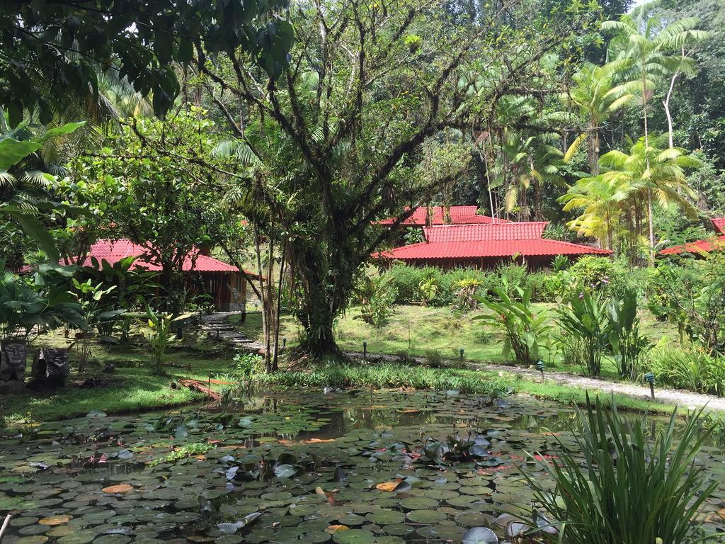 Esquinas Rainforest Lodge Голфіто Екстер'єр фото