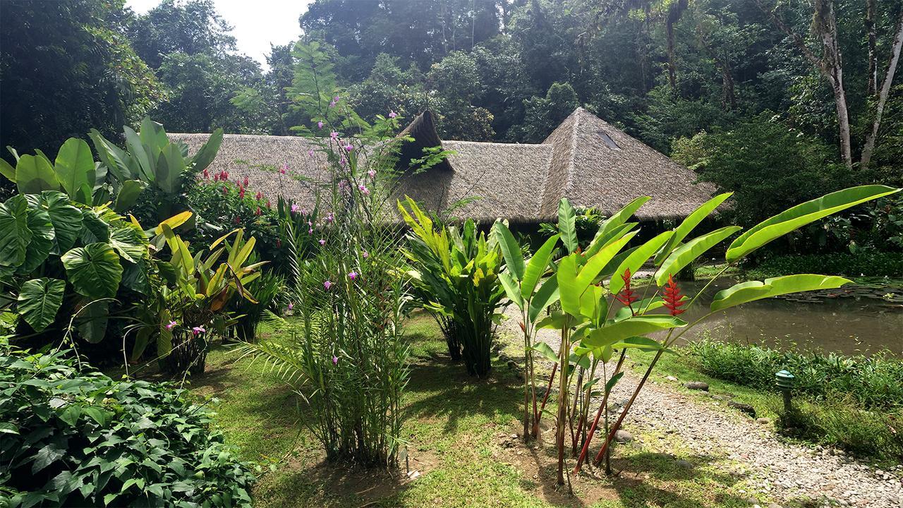 Esquinas Rainforest Lodge Голфіто Екстер'єр фото