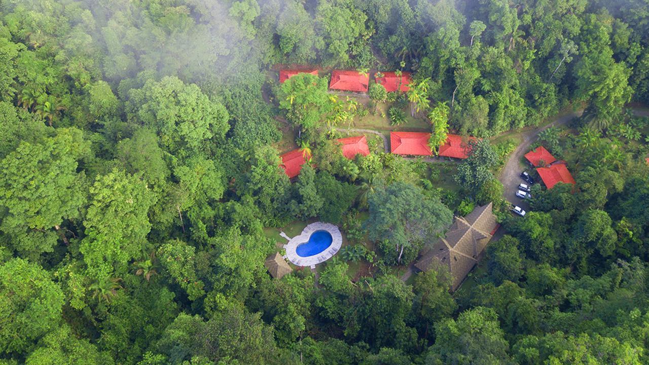 Esquinas Rainforest Lodge Голфіто Екстер'єр фото