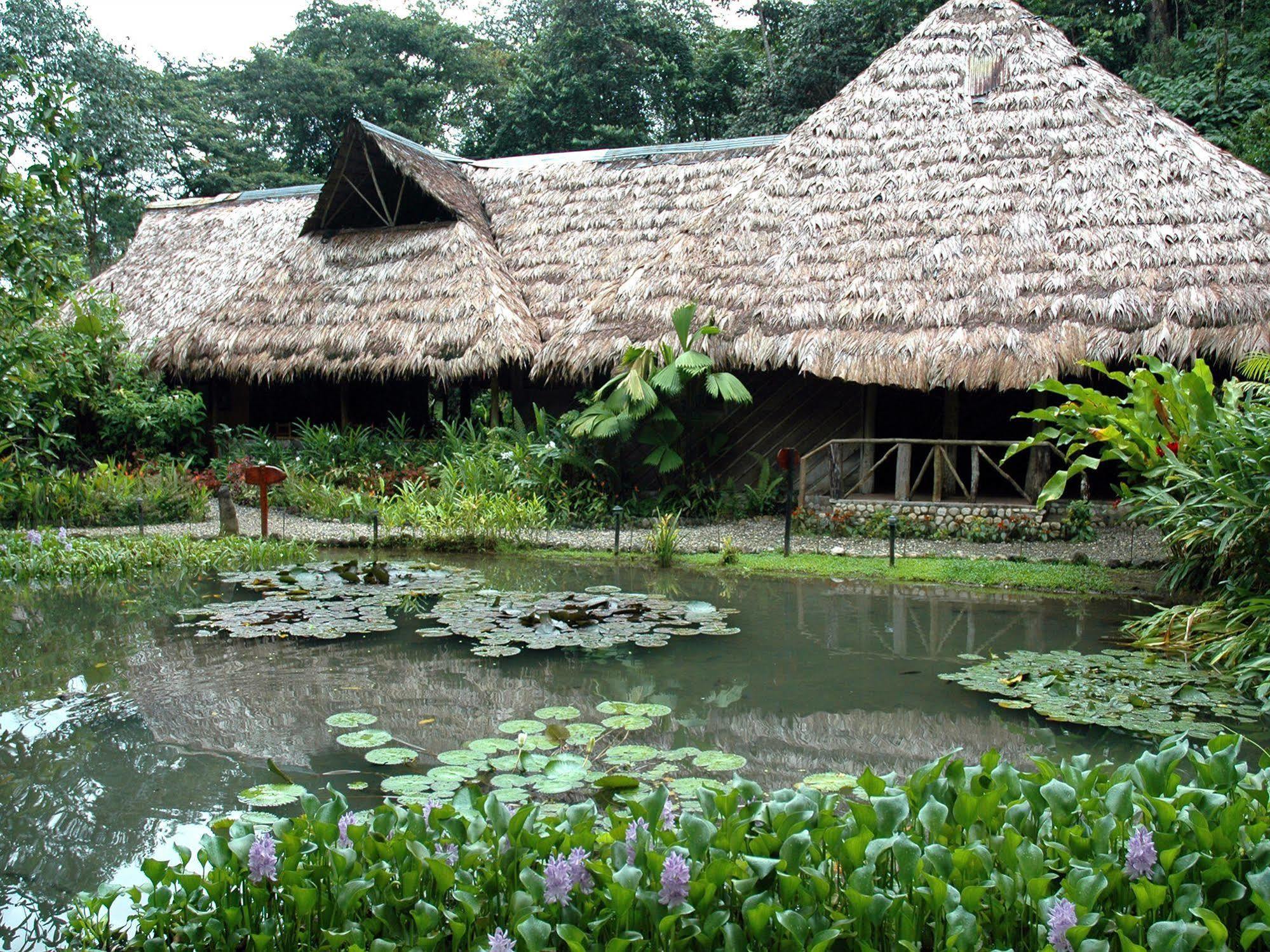 Esquinas Rainforest Lodge Голфіто Екстер'єр фото