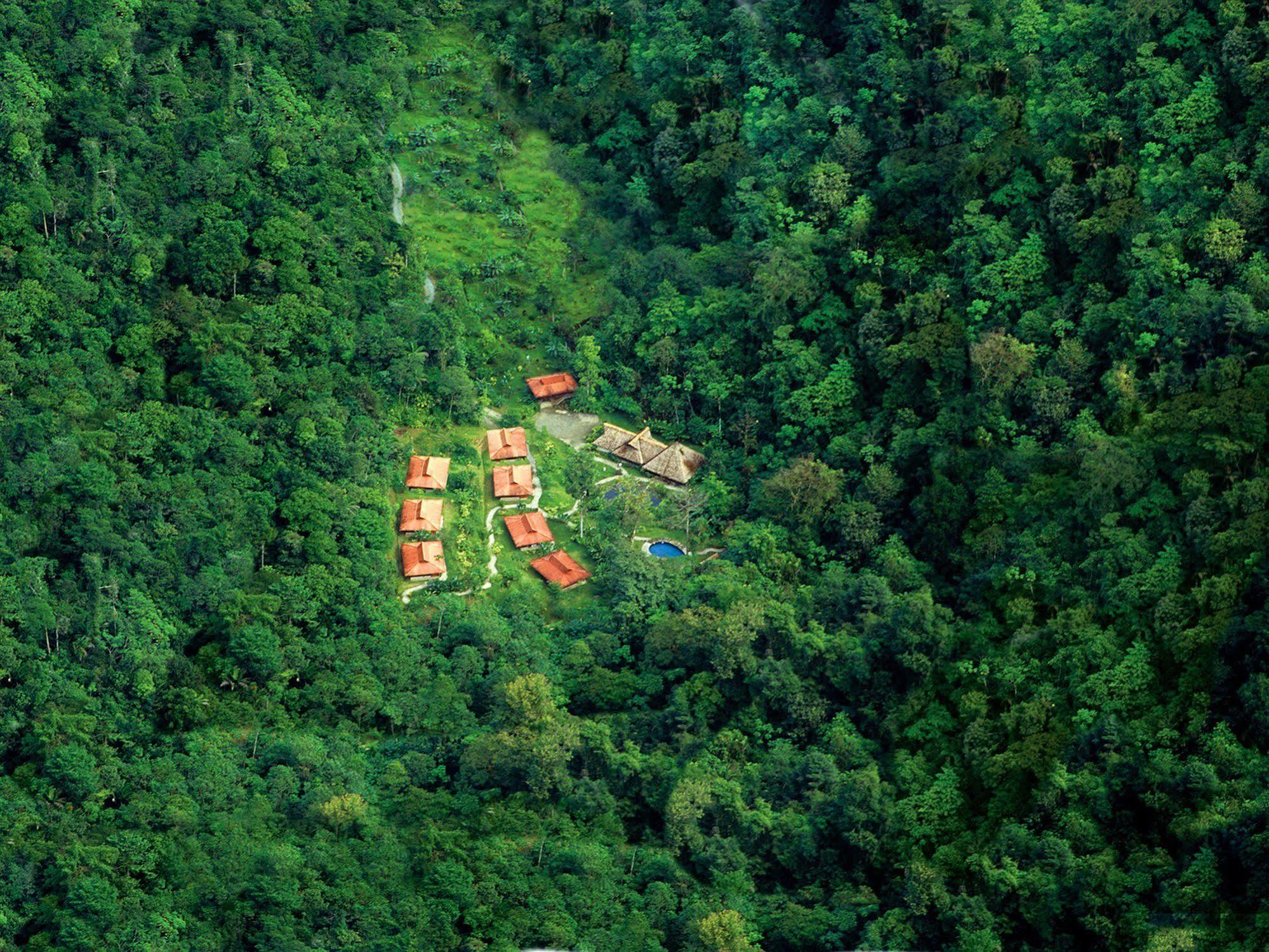 Esquinas Rainforest Lodge Голфіто Екстер'єр фото