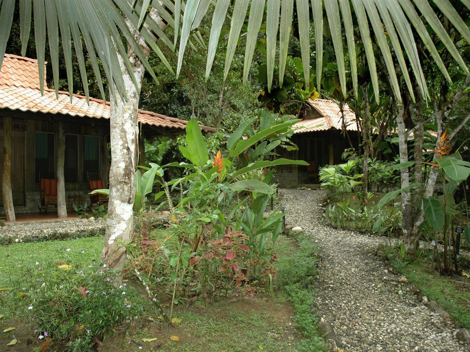 Esquinas Rainforest Lodge Голфіто Екстер'єр фото