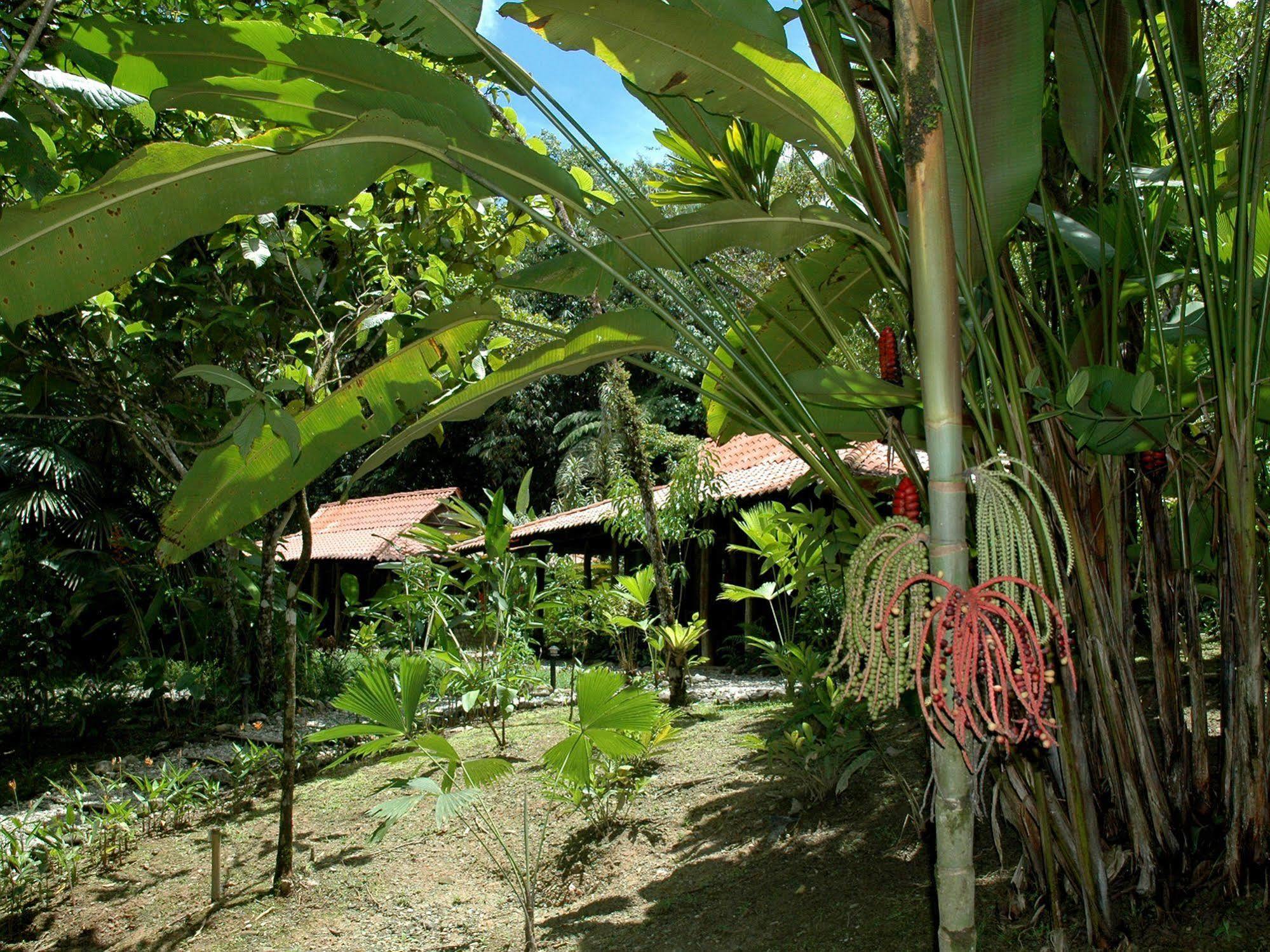 Esquinas Rainforest Lodge Голфіто Екстер'єр фото