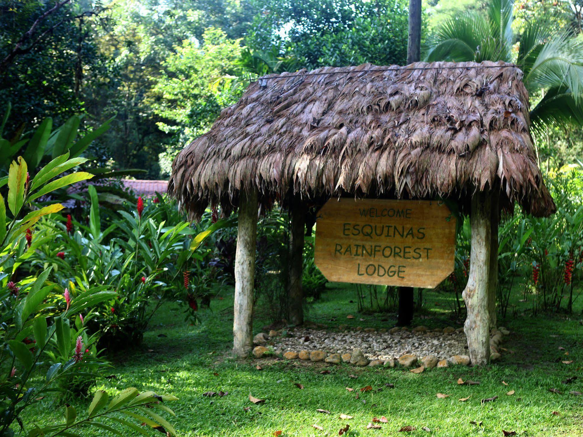 Esquinas Rainforest Lodge Голфіто Екстер'єр фото